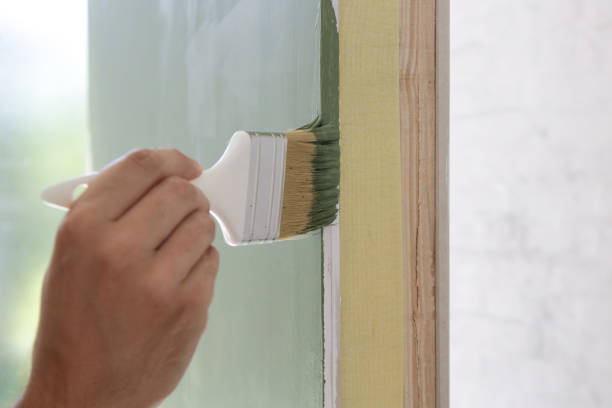 Best Forensic Mold Investigation  in Leadville North, CO