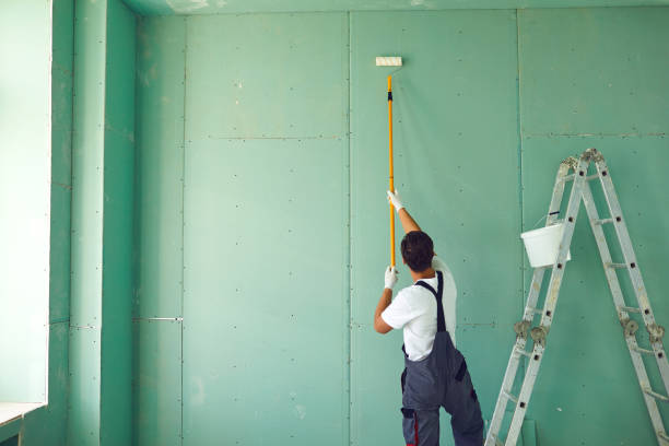 Best Environmental Consulting for Mold Prevention  in Leadville North, CO