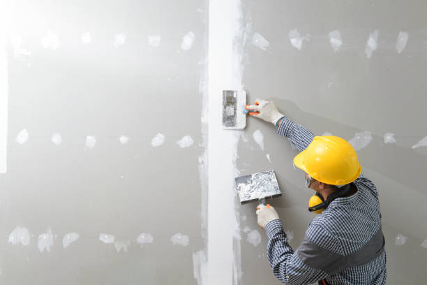  Leadville North, CO Mold Removal Pros