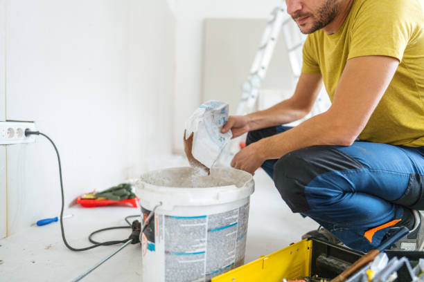 Best HVAC Mold Inspection and Cleaning  in Leadville North, CO