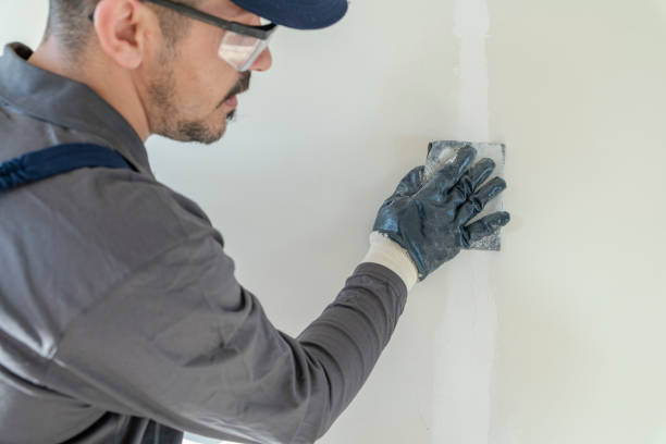 Best Mold Prevention Services  in Leadville North, CO