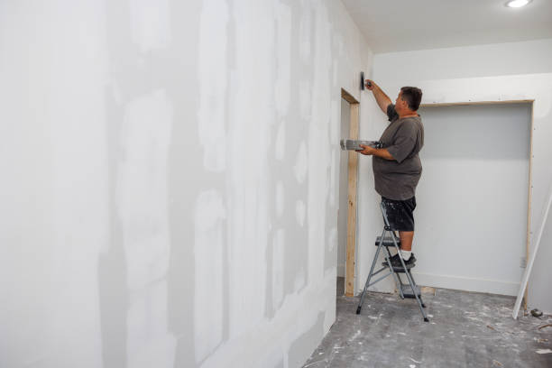 Best Dehumidification Services  in Leadville North, CO