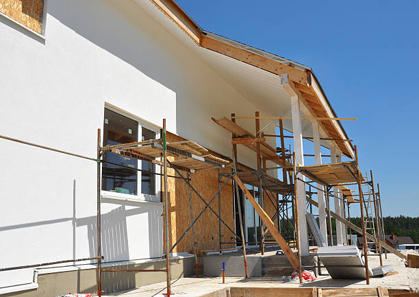 Reliable Leadville North, CO Mold Removal Solutions